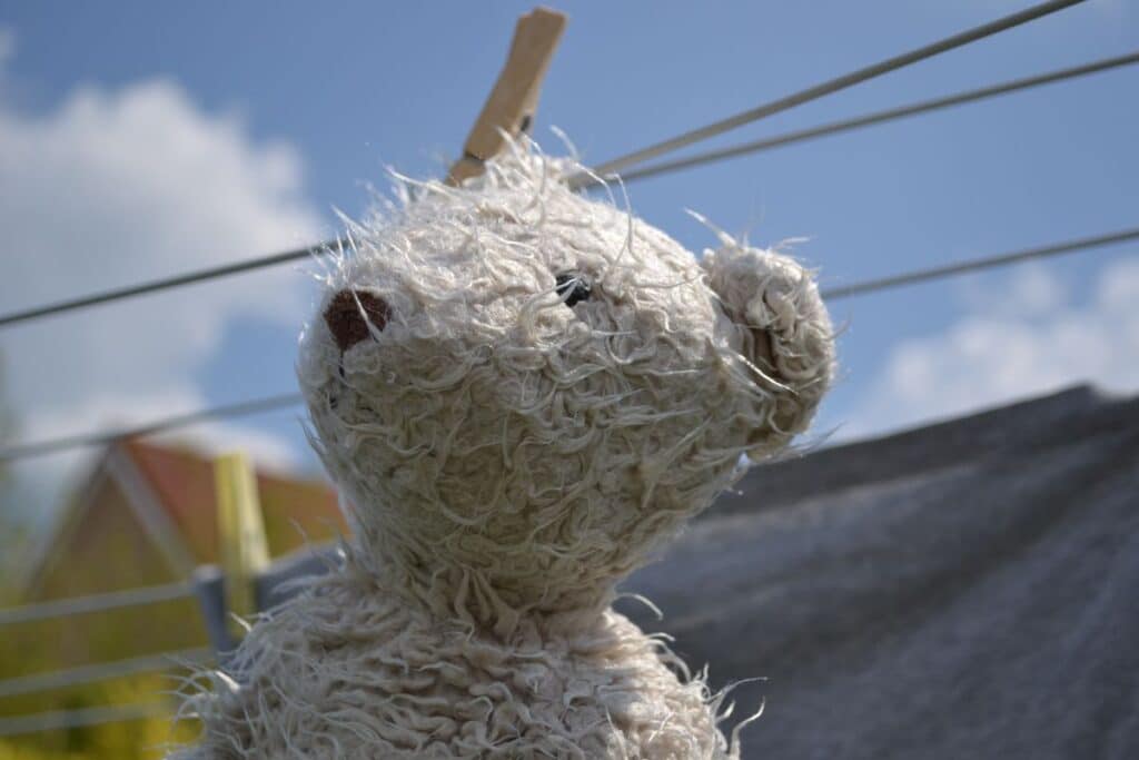 osito peluche lavado cuidado Osito de peluche lavado y cuidado