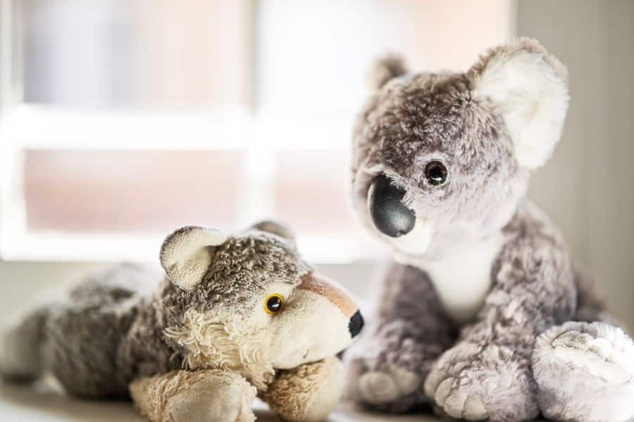 Peluche lobo y koala para regalo