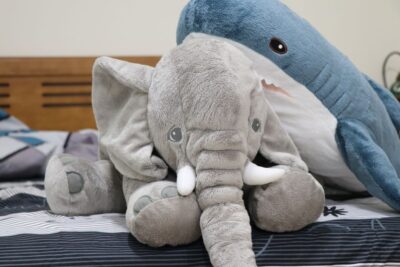 Cómo elegir y cuidar peluches: Guía para adultos y niños