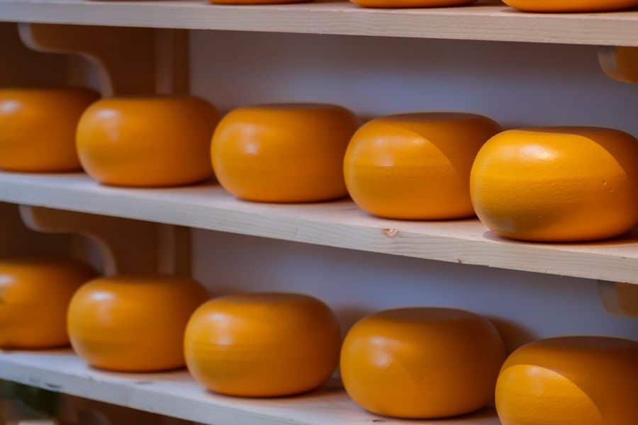 quesos gouda estanterias madera 1 Quesos Gouda en estanterías de madera
